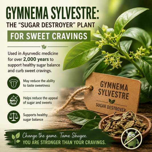 "Gymnema Sylvestre the sugar destroyer plant — used in Ayurvedic medicine for 2,000 years to curb sweet cravings and support healthy sugar balance."