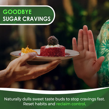 Shugeeze Sugar Craving Suppressant Mint Oral Spray - Fast-Acting, All-Natural Formula with Gymnema Sylvestre Extract - Sugar Blocker Supplement for Appetite Control - 1 oz